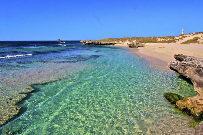 Rottnest Island All-Inclusive Grand Island Tour From Perth - Meeting Point and Logistics