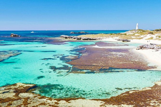 Rottnest Island All-Inclusive Grand Island Tour From Perth - Exploring Rottnest Island