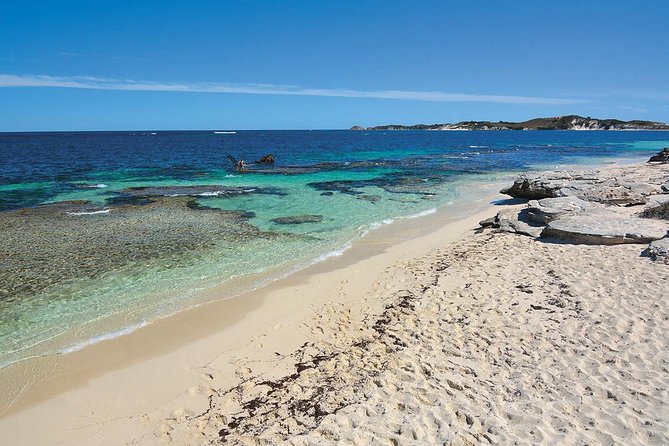 Rottnest Island Bayseeker Tour - Accessible Features