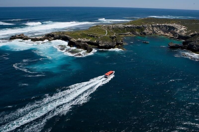 Rottnest Island Day Trip by Ferry & Adventure Boat Tour - Suitability