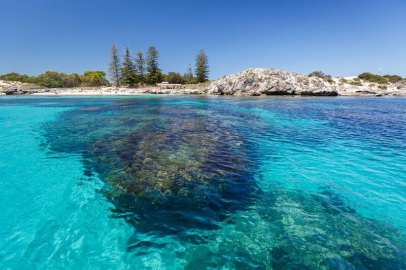 Rottnest Island Day Trip by Ferry & Adventure Boat Tour - Frequently Asked Questions