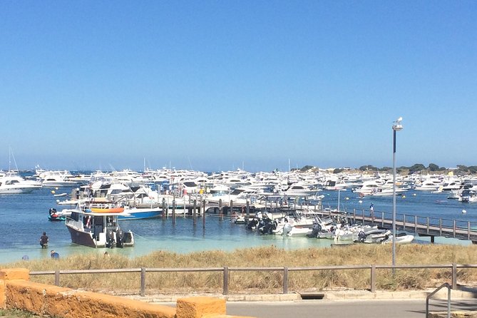 Rottnest Island ECO E Bike Tour - Swimming at the Basin