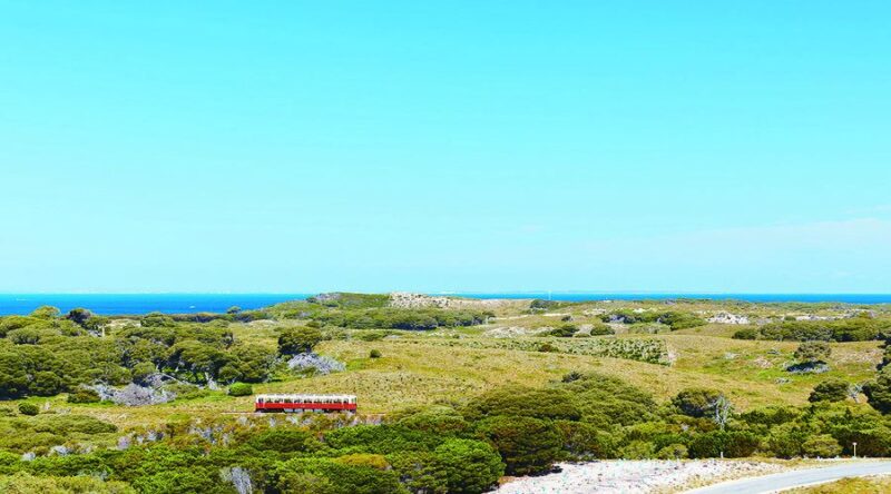 Rottnest Island Grand Bus & Train Tour - Key Points