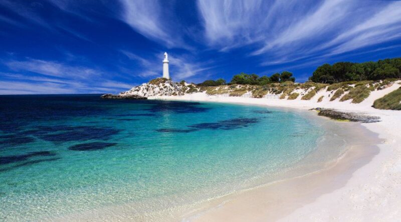 Rottnest Island Grand Bus & Train Tour - Highlights of the Tour