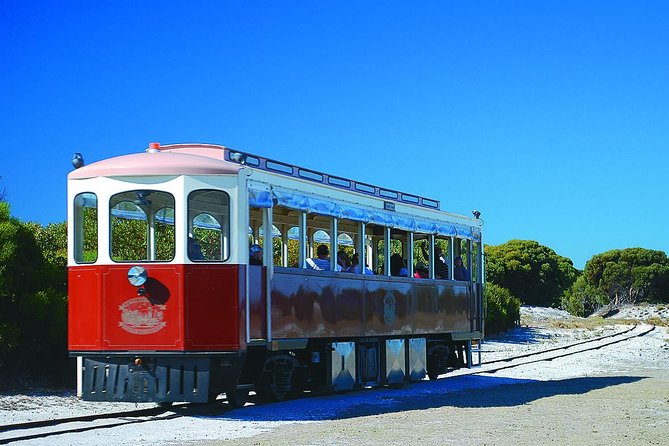 Rottnest Island Grand Tour Including Lunch and Historical Train Ride - Meeting and Departure