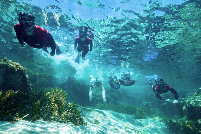 Rottnest Island Guided Snorkel Boat Experience - Convenient Departure and Inclusions