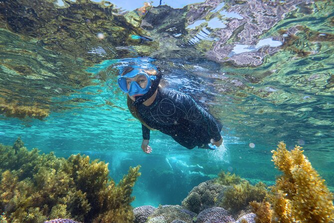 Rottnest Island Guided Snorkel Boat Experience - Physical Fitness Requirements