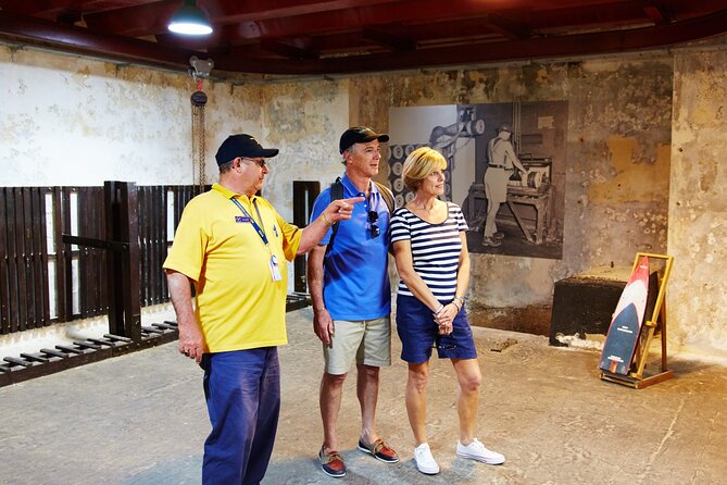 Rottnest Island Historical Train and Tunnel Tour From Hillarys Boat Harbour - Getting to Rottnest Island