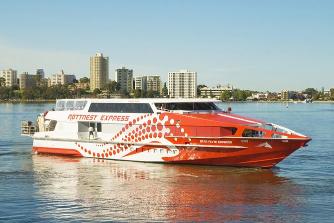 Rottnest Island Round-Trip Ferry From Perth - Activity Options on Rottnest Island