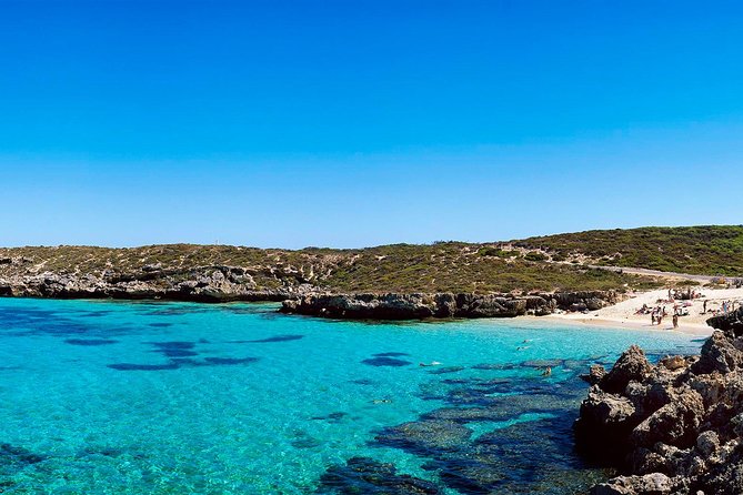 Rottnest Island Roundtrip Fast Ferry From Hillarys Boat Harbour - Attractions on Rottnest