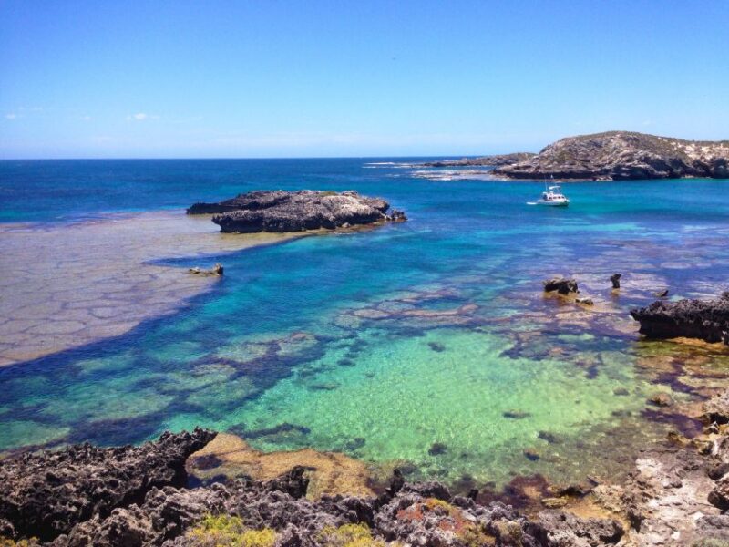 Rottnest Island Segway 1-Hour Settlement Tour - Key Points