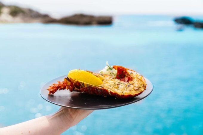 Rottnest: Luxury Island Seafood Cruise - Booking and Policies