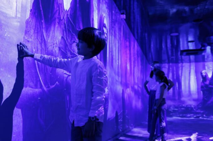 Rouen: Immersive Viking Experience - Customer Reviews and Ratings