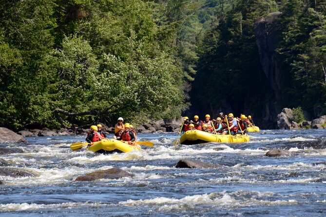Rouge River Family Rafting Must Include a Kid (6-11 Yrs) - Tour Booking and Transportation
