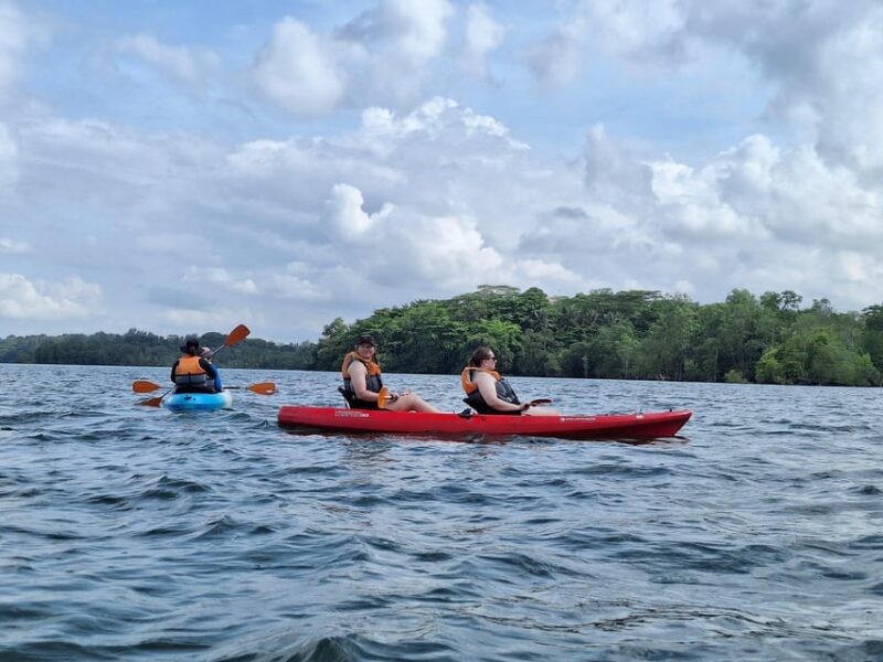 Round Ketam Kayaking at Pulau Ubin - Inclusions and Exclusions