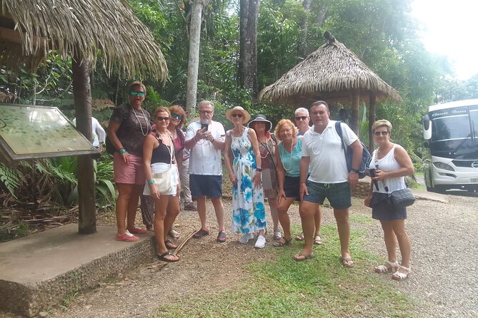 Round The Island Day Trip- Viti Levu - Accessibility and Participation