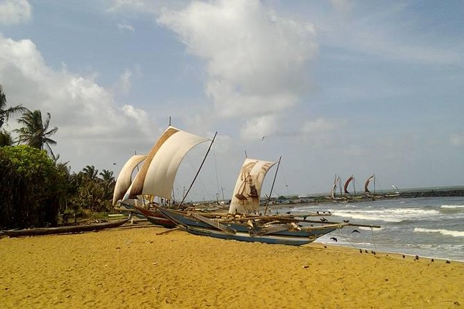 Round Tour of Sri Lanka in a Bus. - Transportation and Amenities