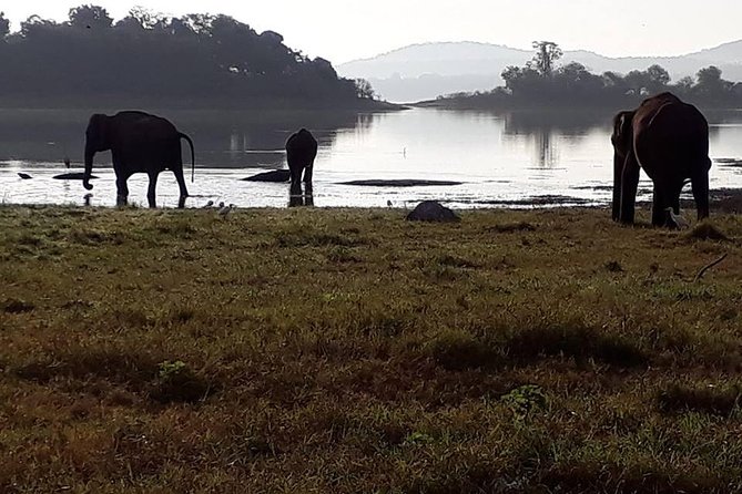 Round Tour of Sri Lanka in a Bus. - Pricing and Cancellation Policy