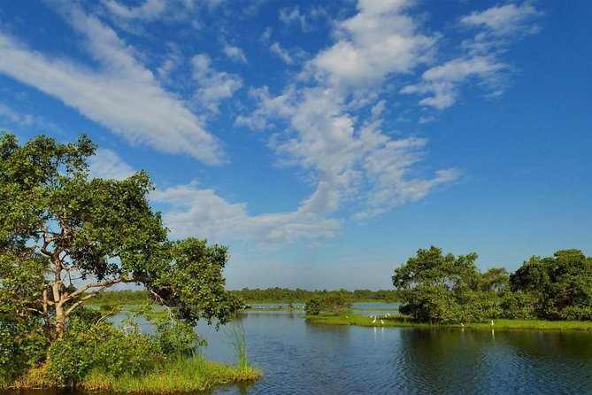 Round Tours,Nature and Wildlife Tours,Culture and Heritage Tours,Adventure Tours - Accessibility and Suitability