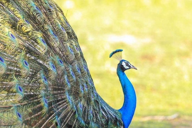 Round Tours,Nature and Wildlife Tours,Culture and Heritage Tours,Adventure Tours - Booking and Cancellation Policy