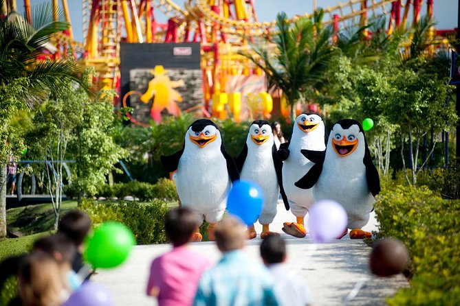 Round Trip Beto Carrero World From Balneario Camboriu - Beto Carrero World Highlights