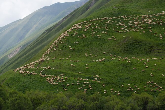 Round-Trip Bus Transfer to Truso Valley From Kazbegi - Key Points