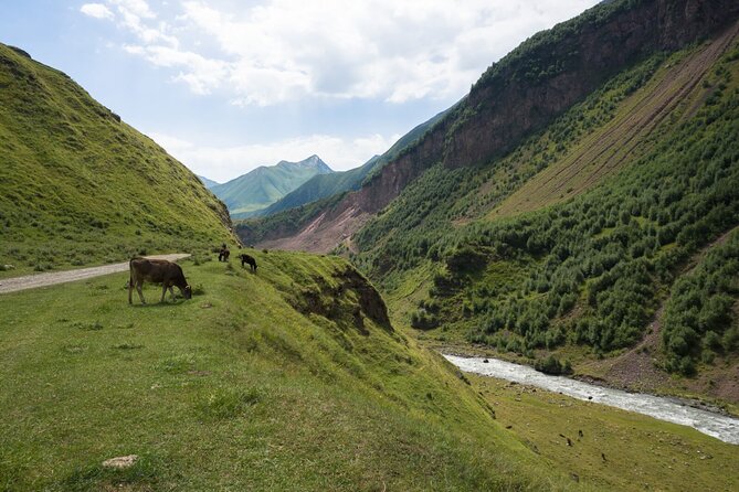 Round-Trip Bus Transfer to Truso Valley From Kazbegi - Scenic Landscapes