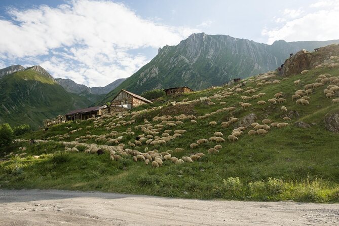 Round-Trip Bus Transfer to Truso Valley From Kazbegi - Personalized Experience