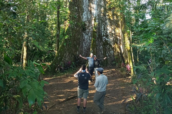 Round Trip Liberia Airport Guanacaste, Arenal La Fortuna - Accessibility and Accommodations