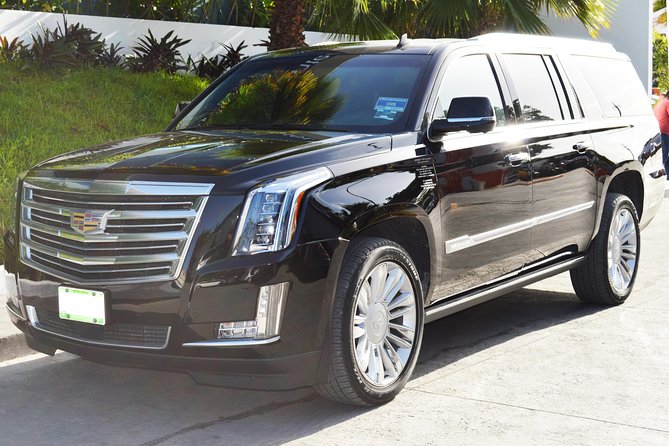 Round-Trip Luxury Transportation: Punta Cana International Airport (1-5) - Service Overview