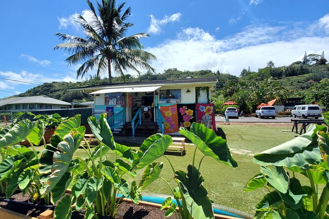 Round Trip North Shore Shuttle From Waikiki to Haleiwa Town / Haleiwa Harbor - Health and Safety Restrictions
