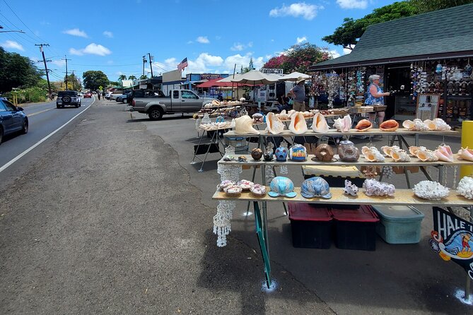 Round Trip North Shore Shuttle From Waikiki to Haleiwa Town / Haleiwa Harbor - Exploring the North Shore