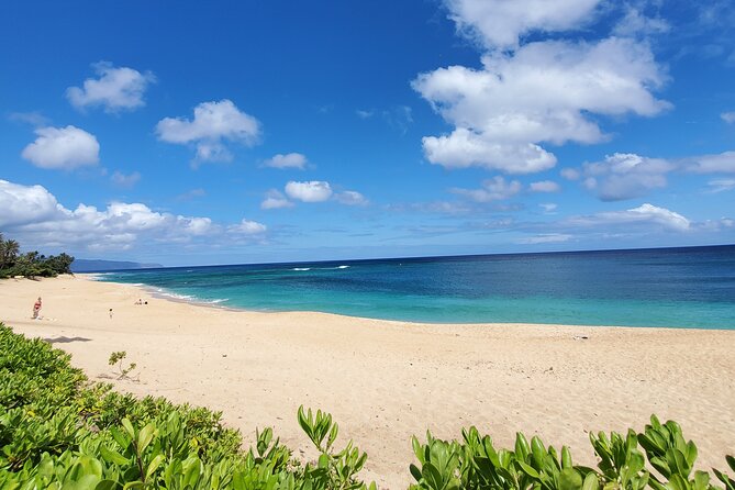 Round Trip North Shore Shuttle From Waikiki to Haleiwa Town / Haleiwa Harbor - Punctuality and Friendliness of Drivers