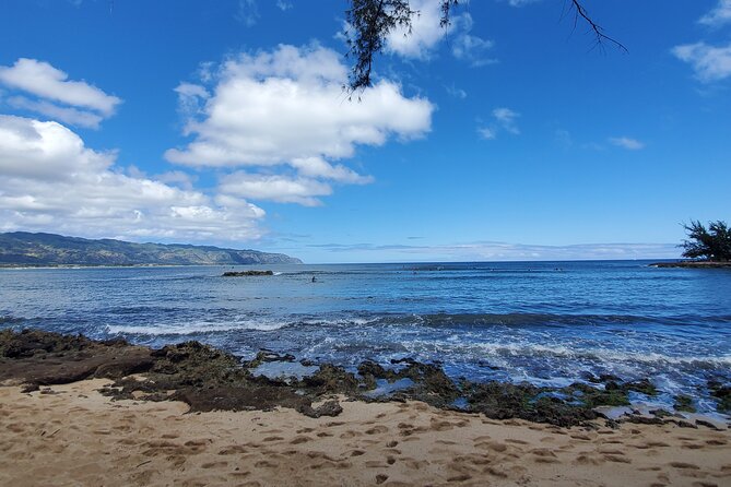 Round Trip North Shore Shuttle From Waikiki to Haleiwa Town / Haleiwa Harbor - Informative Driver Commentary