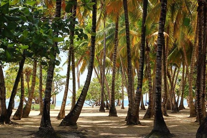 Round Trip-Santiago International Airport to Puerto Plata -1-6 Passengers - Amenities Available