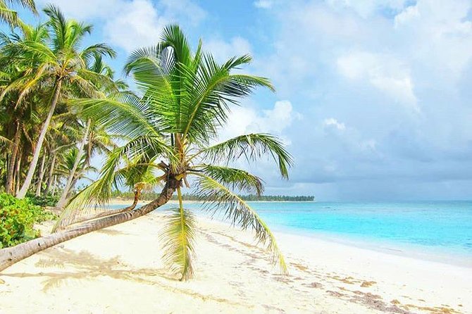 Round Trip Shuttle - Punta Cana Airport Shuttle 7-10 Passengers - About Your Stay
