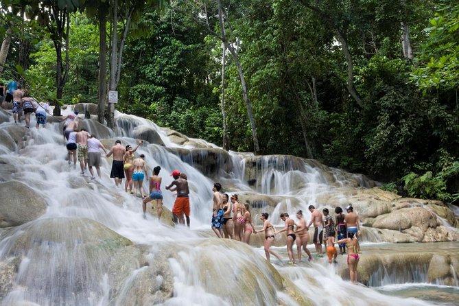 Round-Trip Shuttle Transportation to Dunns River Falls From Montego Bay - Inclusions