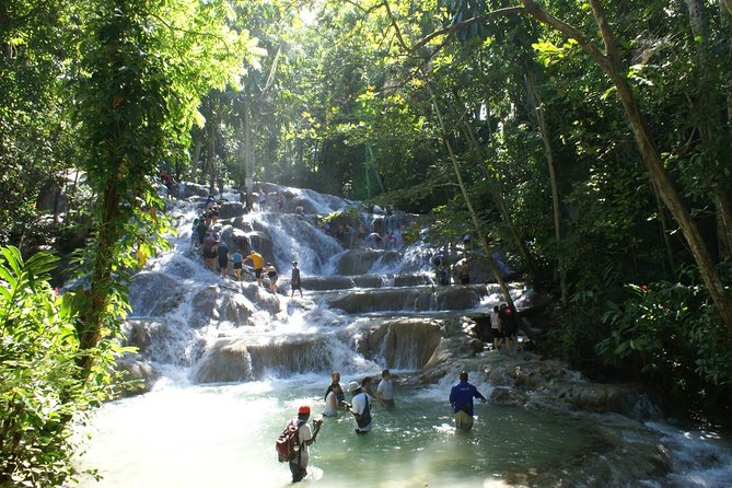 Round-Trip Shuttle Transportation to Dunns River Falls From Montego Bay - Pickup Information