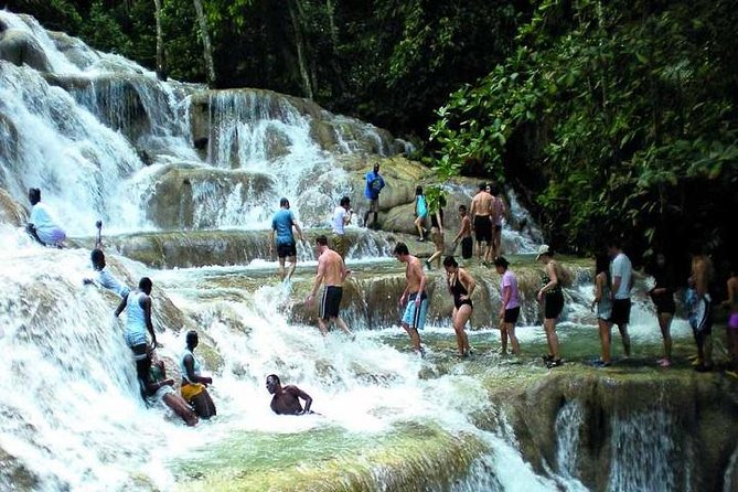 Round-Trip Shuttle Transportation to Dunns River Falls From Montego Bay - Reviews