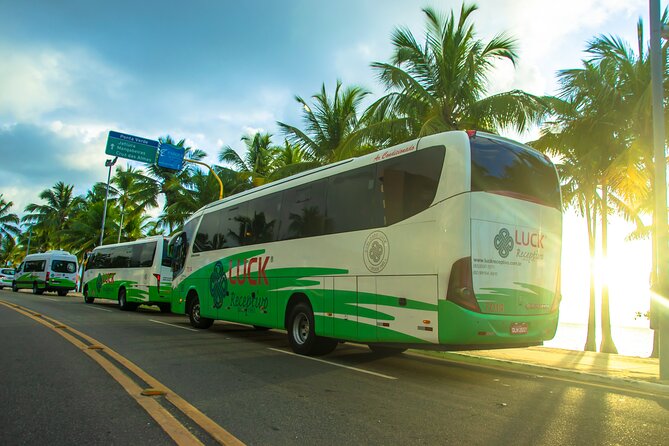 Round Trip Transfer Between Airport and Hotels in Maceió - Accessibility Features