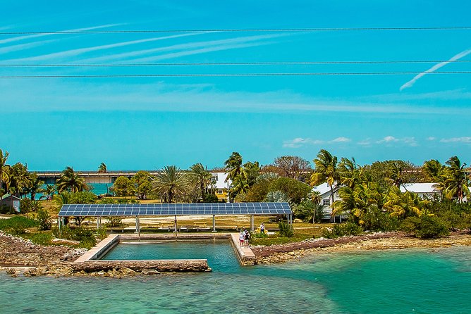 Round-Trip Transfer: Fort Lauderdale to Key West - Accessibility and Capacity