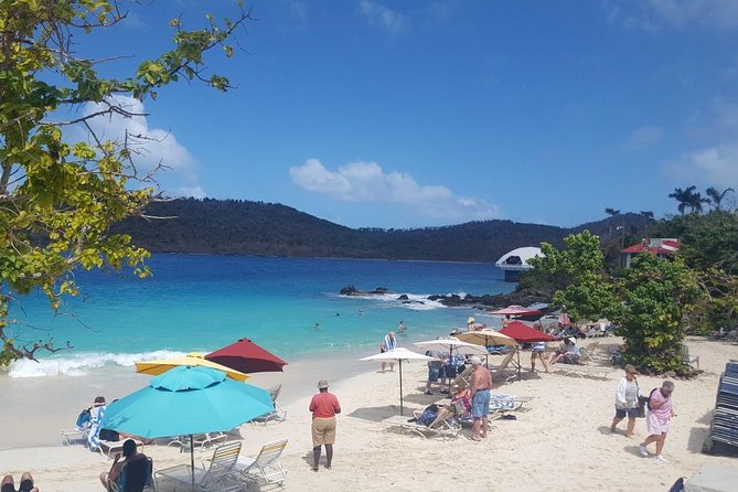 Round-Trip Transportation to Coral World Park and Coki Beach - Coki Beach Snorkeling