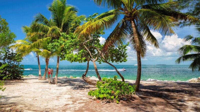 Round Trip Transportation to Key West From Miami - Key West Highlights