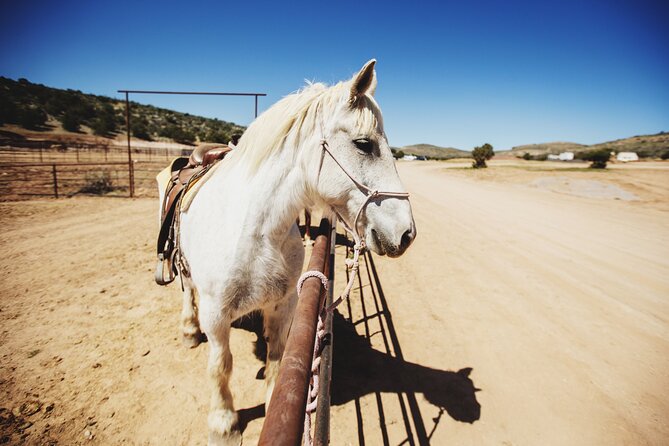 Round-Up Ride: Horseback Ride JUST 5 MILES From Grand Canyon West - Health and Safety Considerations