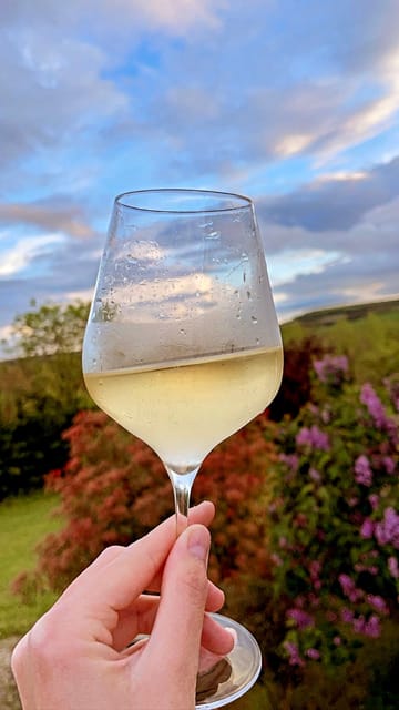 Route Du Champagne: Food and Wine Tour - Booking Information