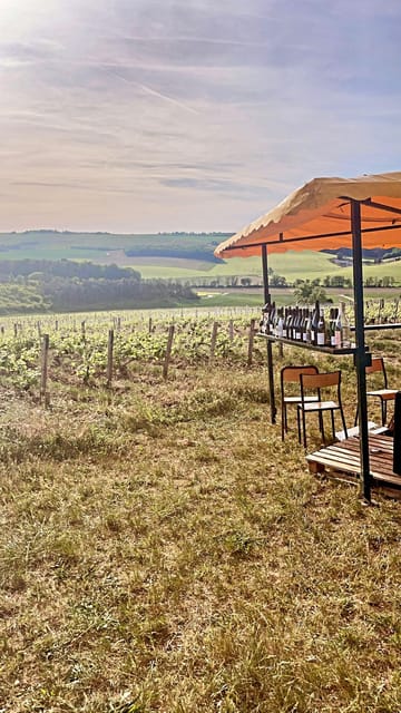 Route Du Champagne: Food and Wine Tour - Itinerary Details