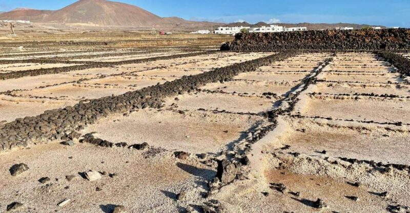 Route Guided on the Volcanic Coast of Lanzarote. - Participant Requirements