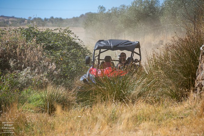 ROUTE IN BUGGY 1,30h - Meeting and End Point