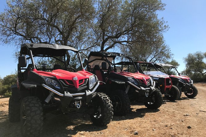 ROUTE IN BUGGY 1,30h - Accessibility and Participation