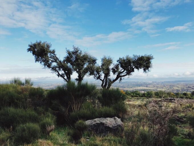 ROUTE OF COFFEE SMUGGLING MARVÃO - Frequently Asked Questions